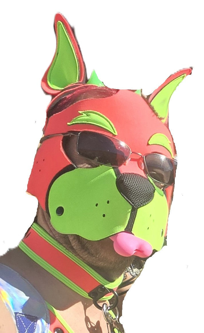 Soft Silicone Dog Bone Chew Toy – Stress Relief Chew for Humans Pupifer's Paddles