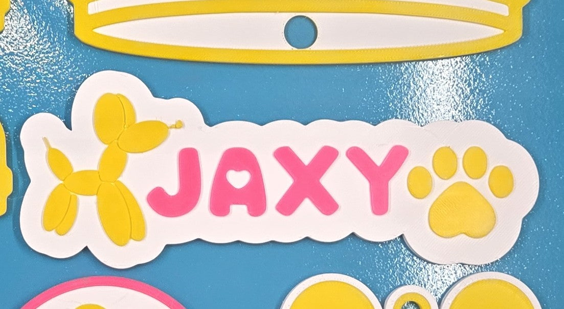 Fully Custom High-Tech Nametag, Badge, Medallion, Necklace, Keychain Pupifer's Paddles