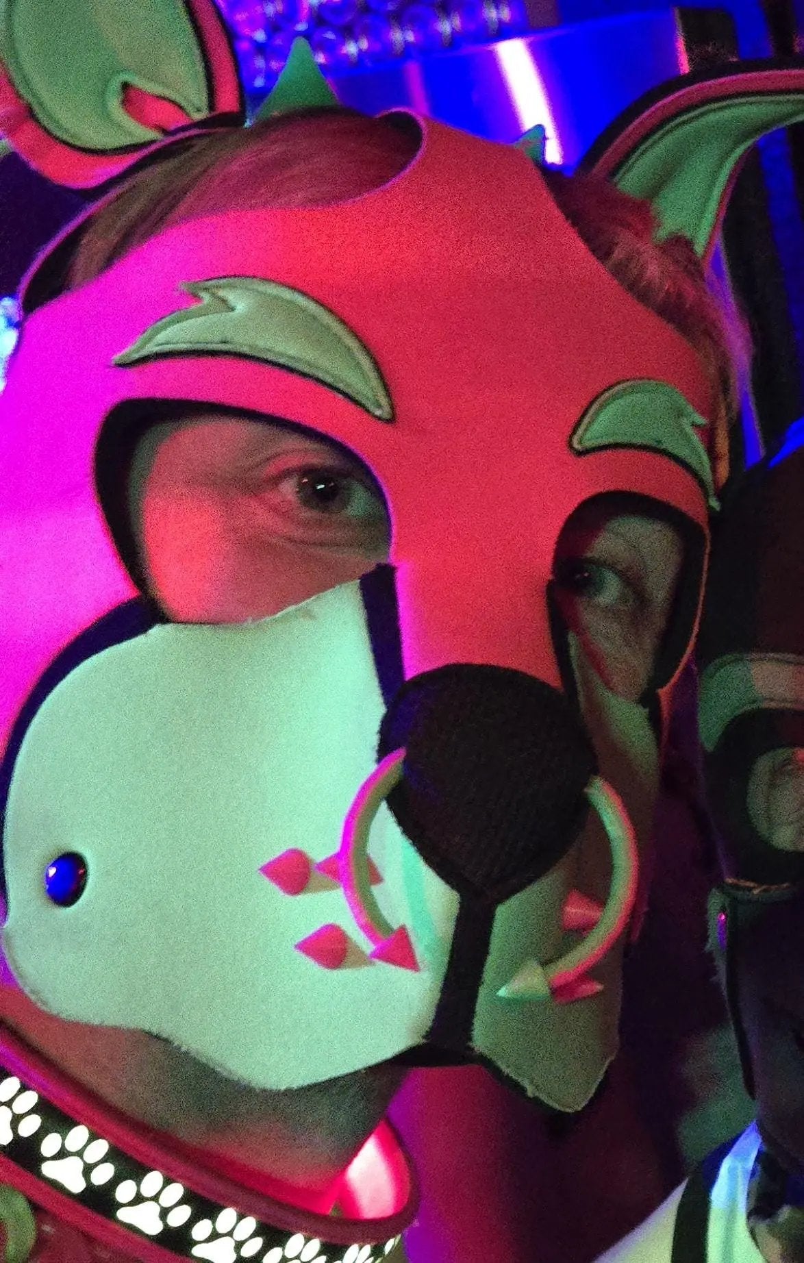 Pup Hood Nose/Septum Ring Piercing Pupifer's Paddles