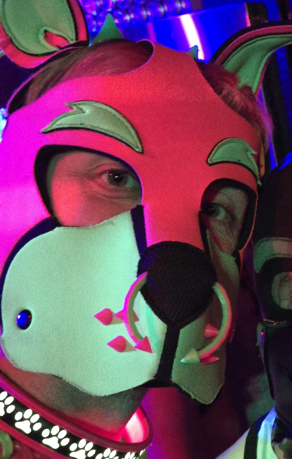 Pup Hood Muzzle Spikes Pupifer's Paddles