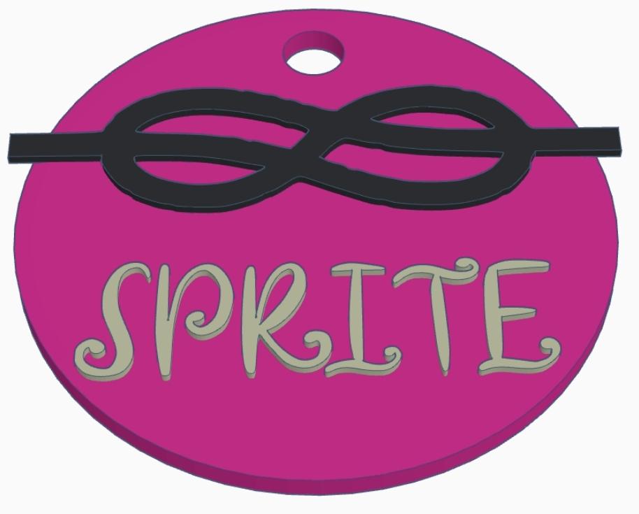 Fully Custom High-Tech Nametag, Badge, Medallion, Necklace, Keychain Pupifer's Paddles