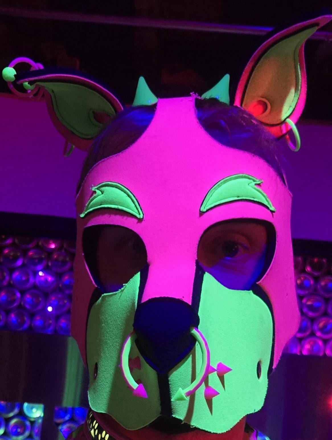 Mix & Match 3D Printed Pup Hood Piercings (3 or 5 pack) Pupifer's Paddles