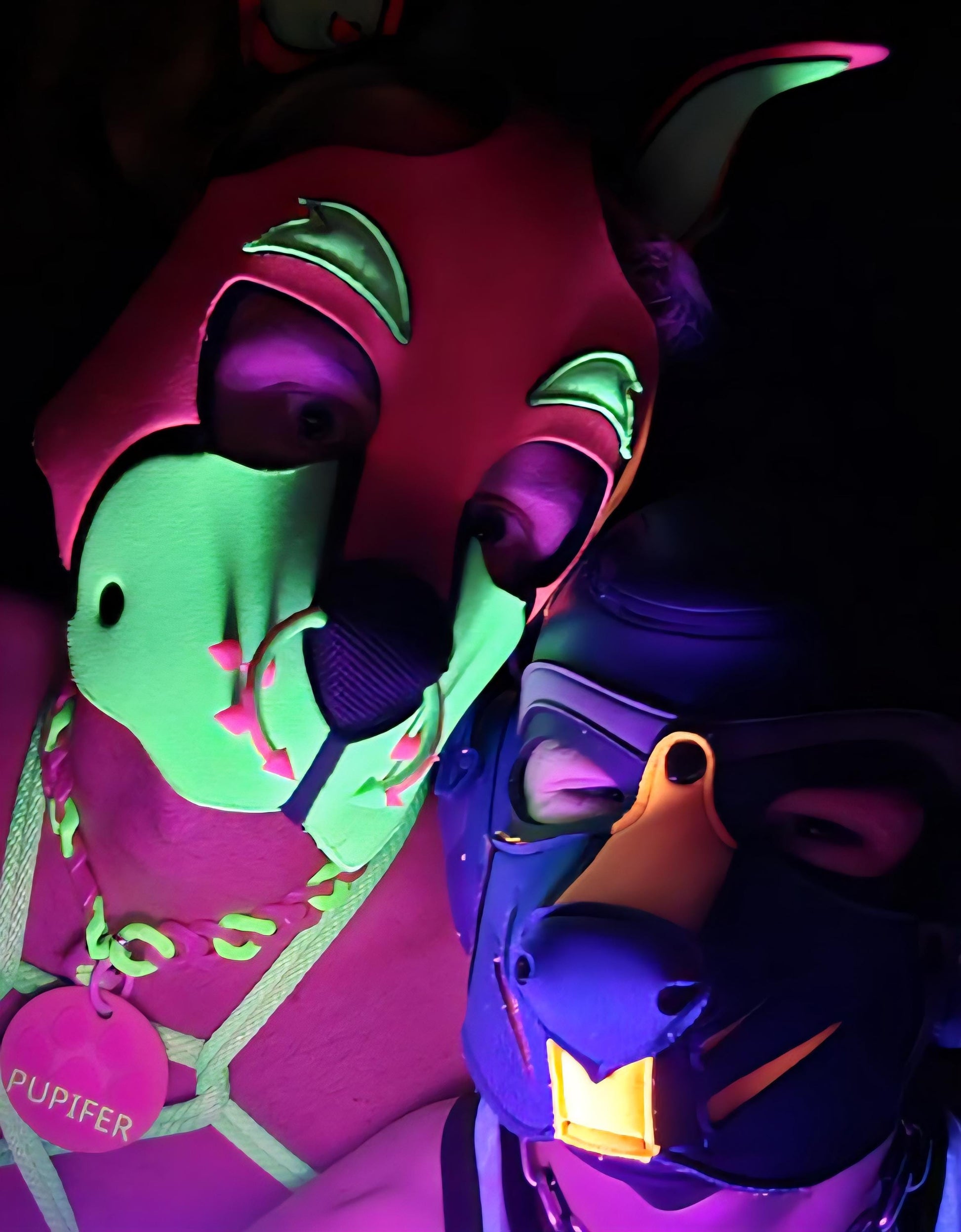 🐾 High Tech: 3D Printed Puppy Paw Name Badges (Includes NFC Chip) Pupifer's Paddles