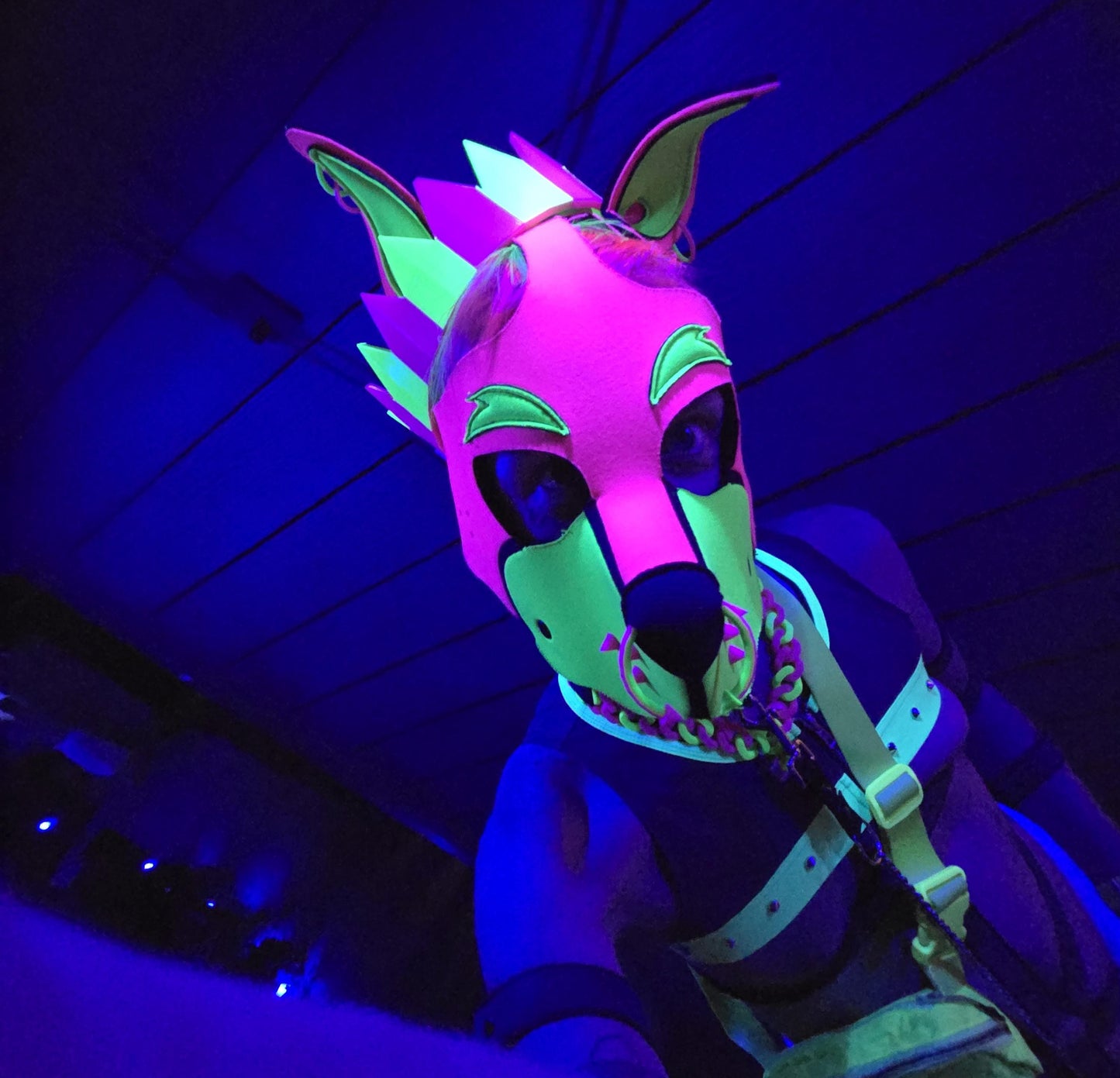 3D Printed Rave/Festival Crown Pupifer's Paddles