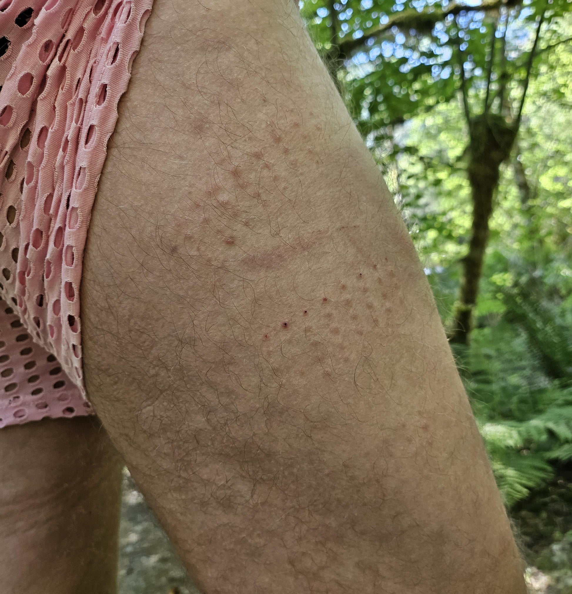 Shibari Spikes Pupifer's Paddles