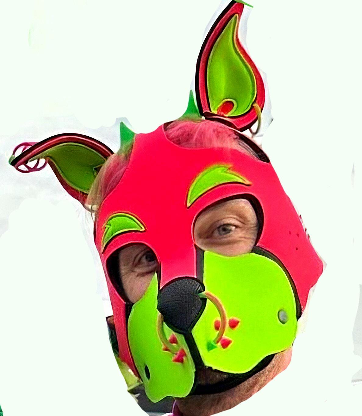 Pup Hood Muzzle Spikes Pupifer's Paddles