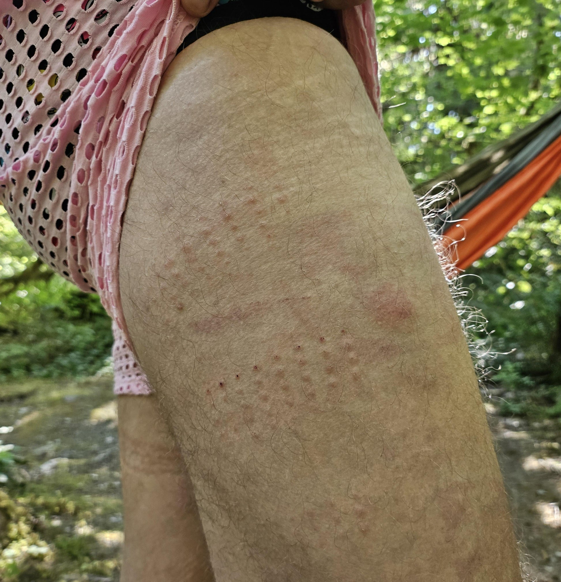 Shibari Spikes Pupifer's Paddles