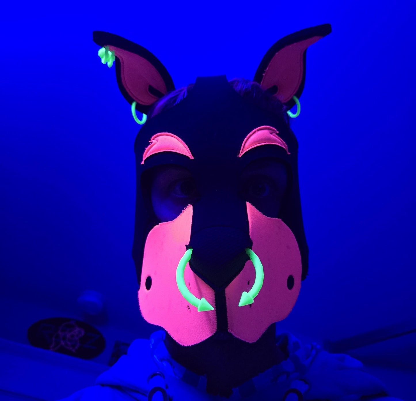 Mix & Match 3D Printed Pup Hood Piercings (3 or 5 pack) Pupifer's Paddles
