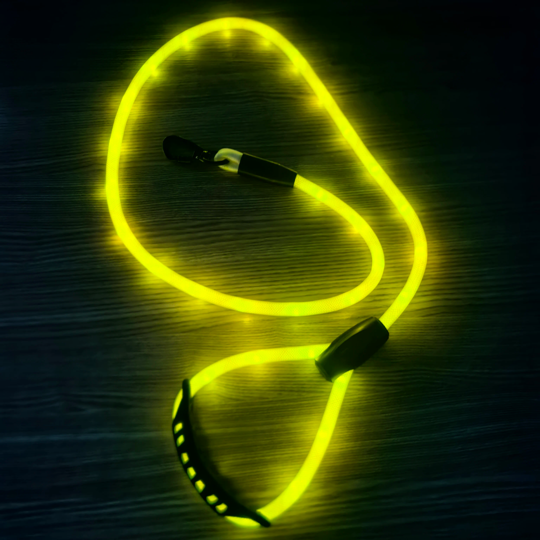 ✨ LIGHT UP RAVE PUP LEASH ✨ Pupifer's Kink Wonderland