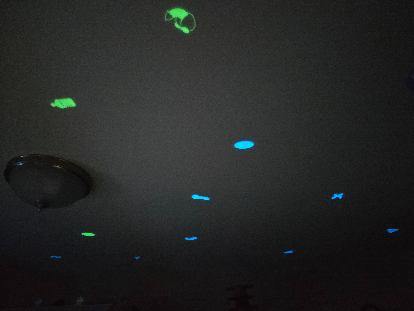 3D Printed Glow-in-the-Dark Ceiling Stickers Pupifer's Paddles