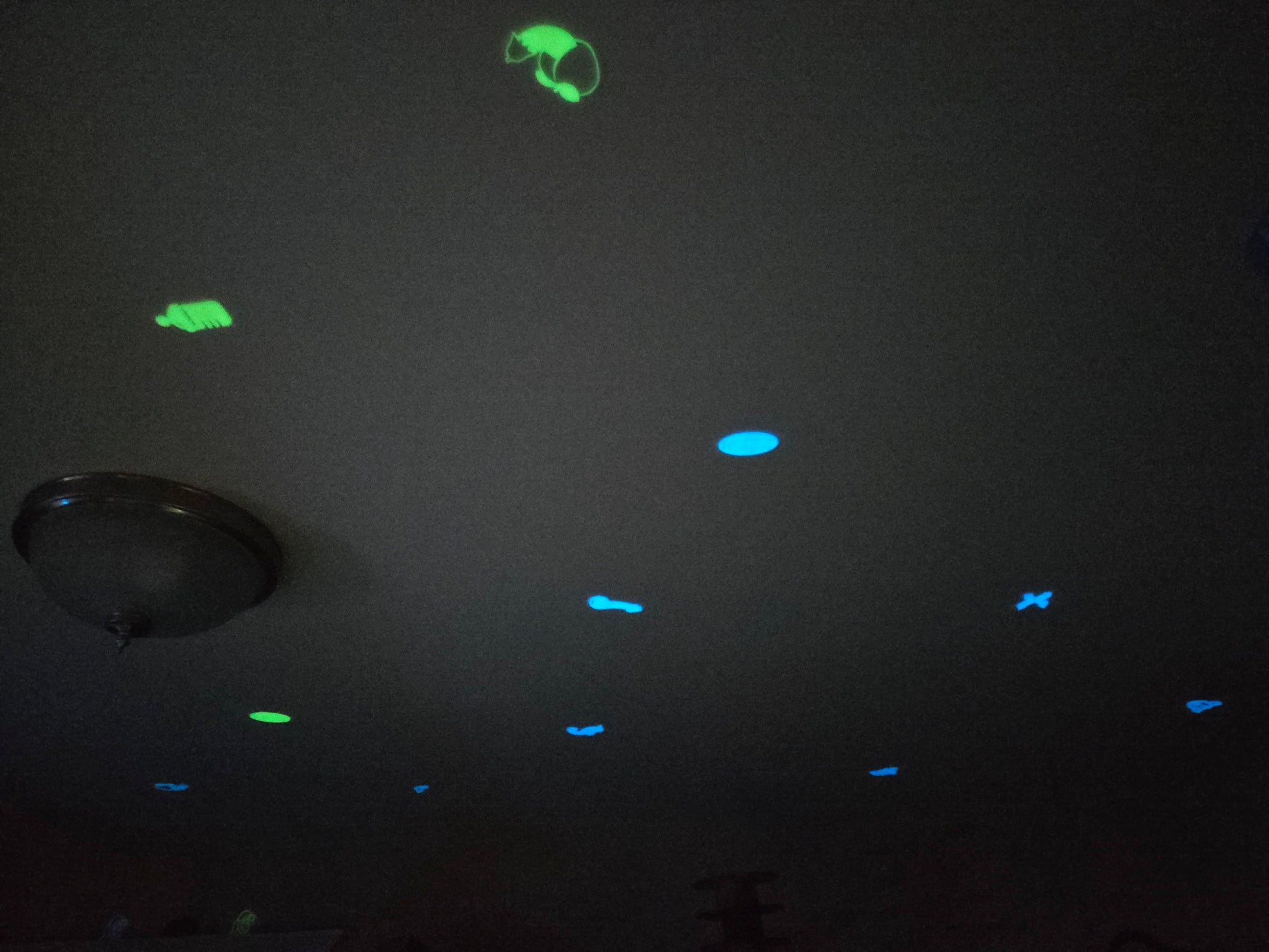 3D Printed Glow-in-the-Dark Ceiling Stickers Pupifer's Paddles