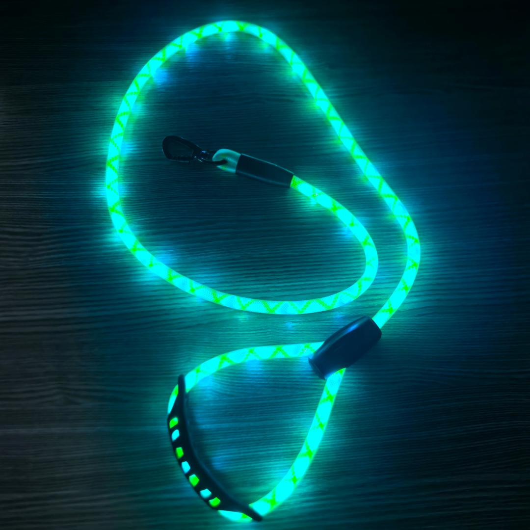 ✨ LIGHT UP RAVE PUP LEASH ✨ Pupifer's Kink Wonderland