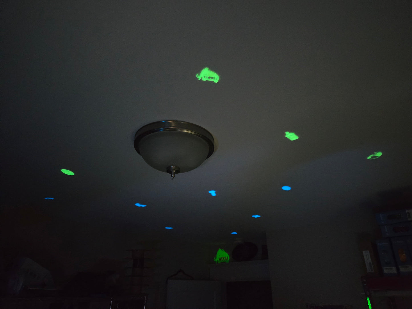 3D Printed Glow-in-the-Dark Ceiling Stickers Pupifer's Paddles