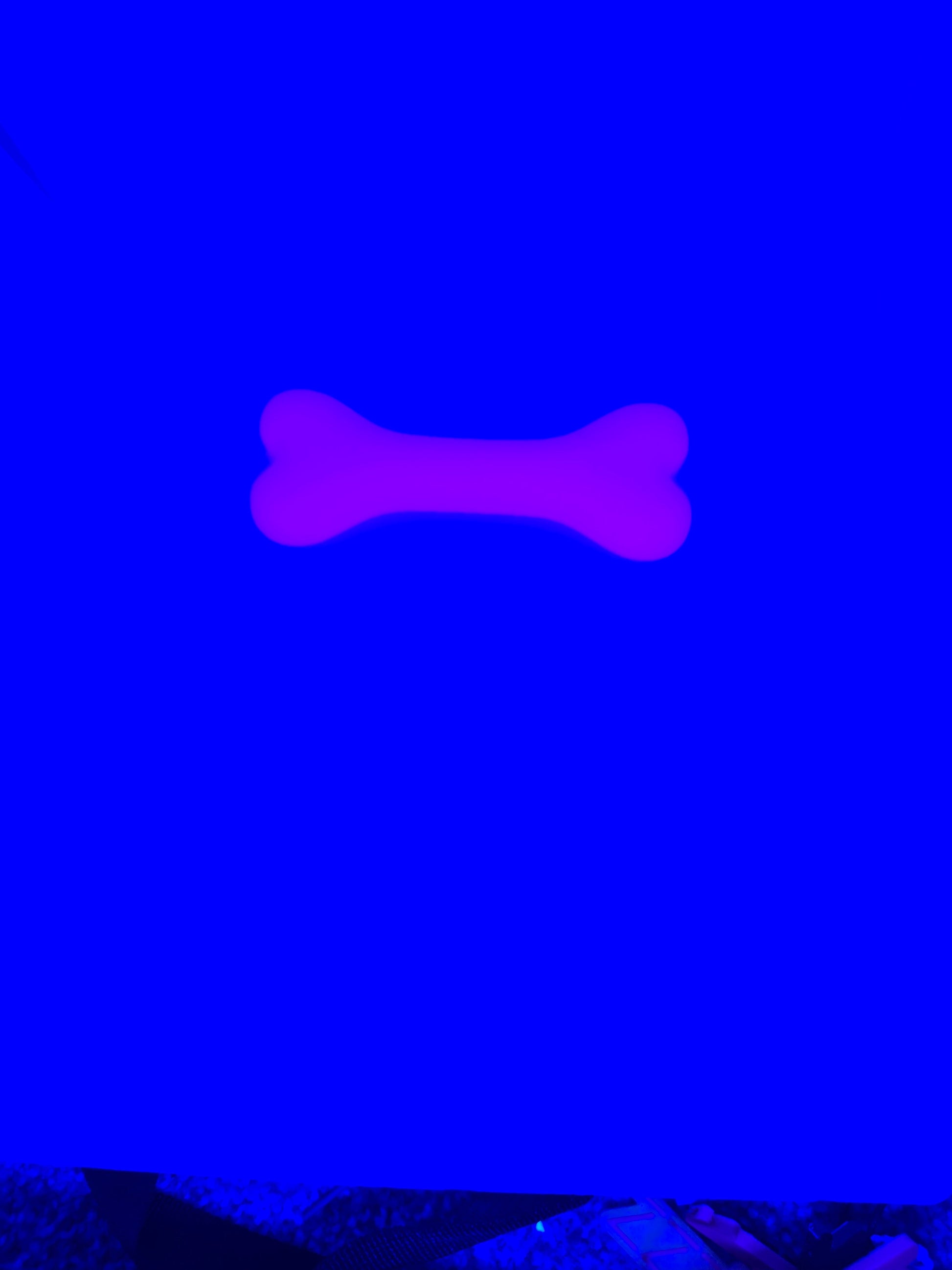 Soft Silicone Dog Bone Chew Toy – Stress Relief Chew for Humans Pupifer's Paddles