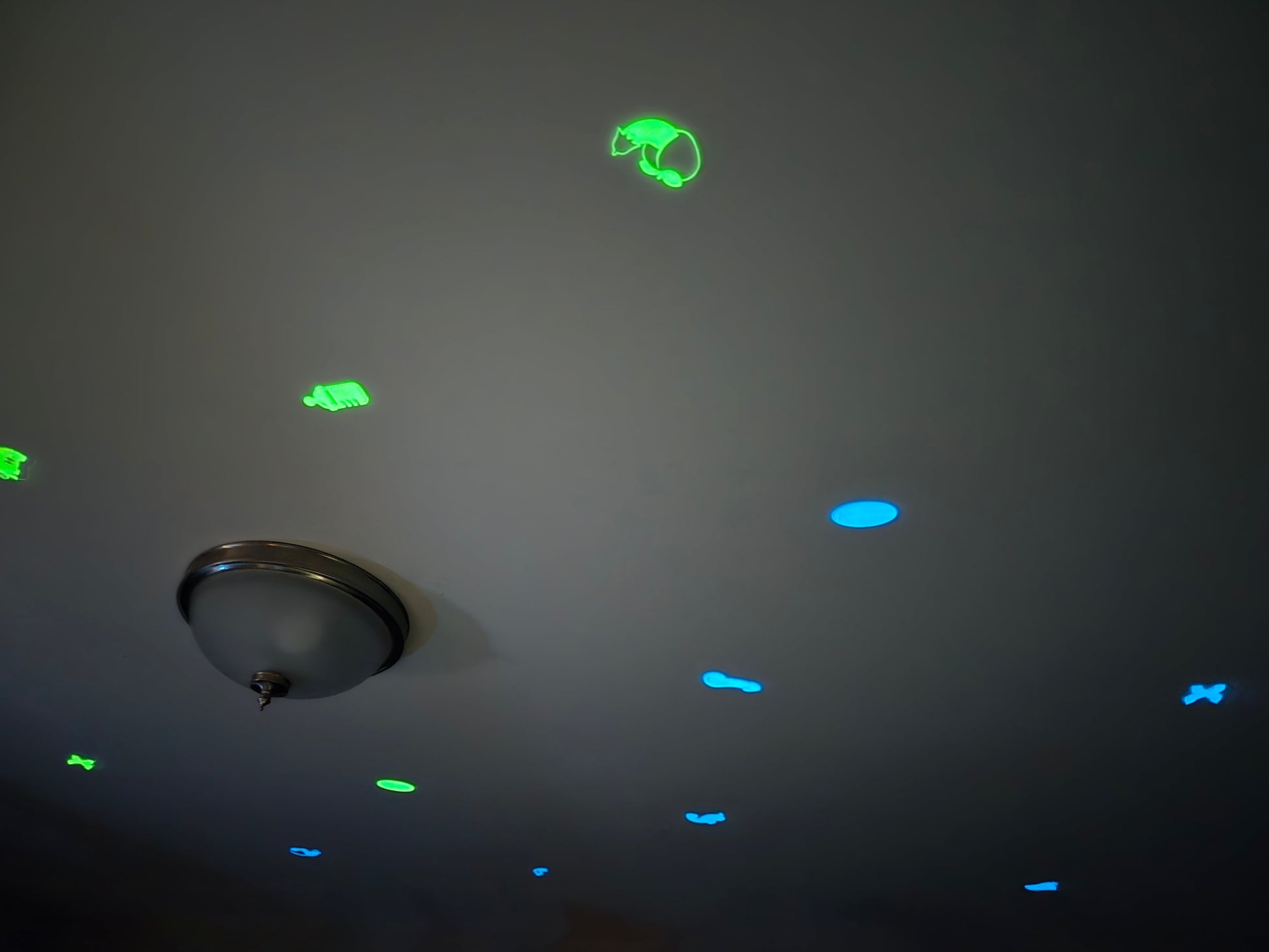 3D Printed Glow-in-the-Dark Ceiling Stickers Pupifer's Paddles