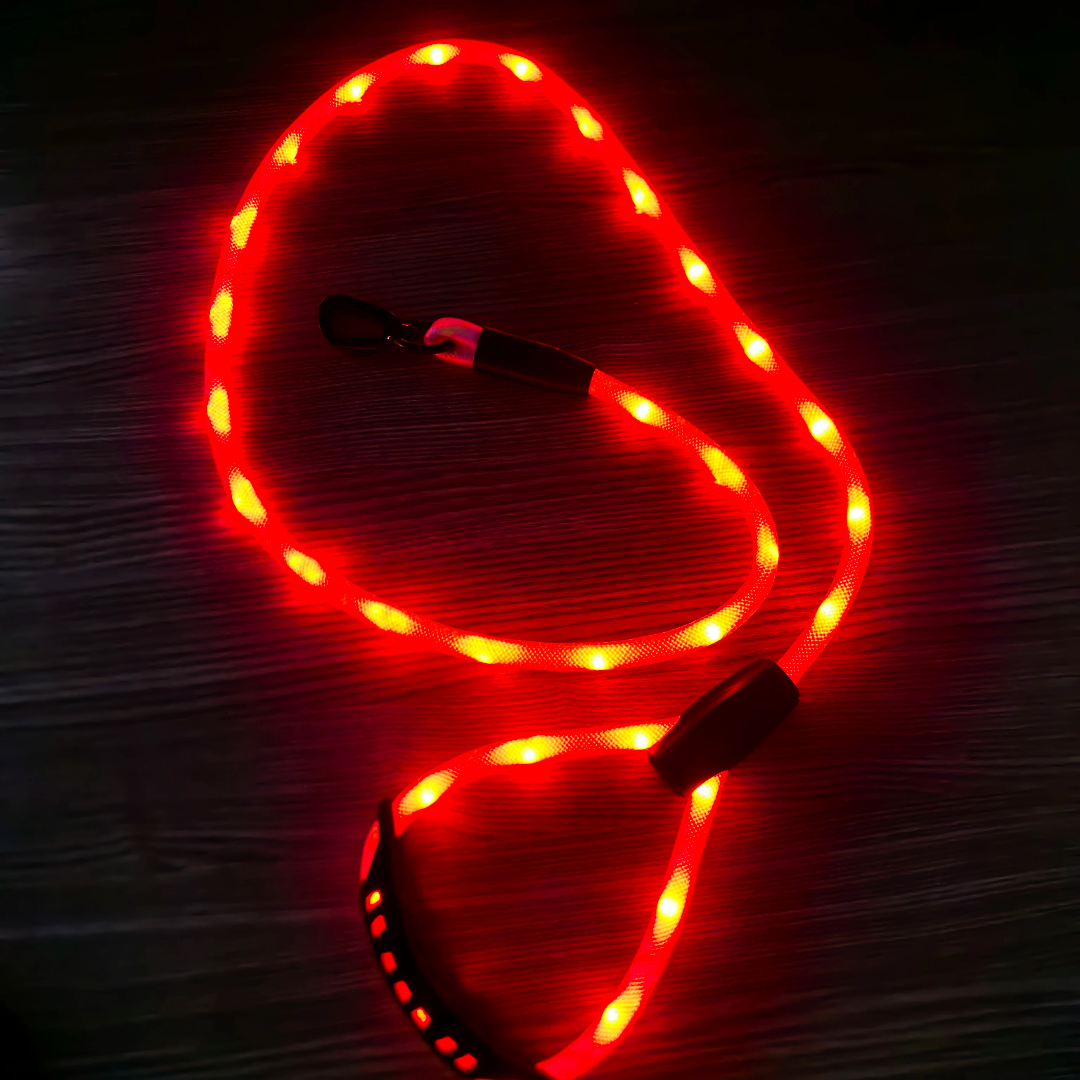 ✨ LIGHT UP RAVE PUP LEASH ✨ Pupifer's Kink Wonderland